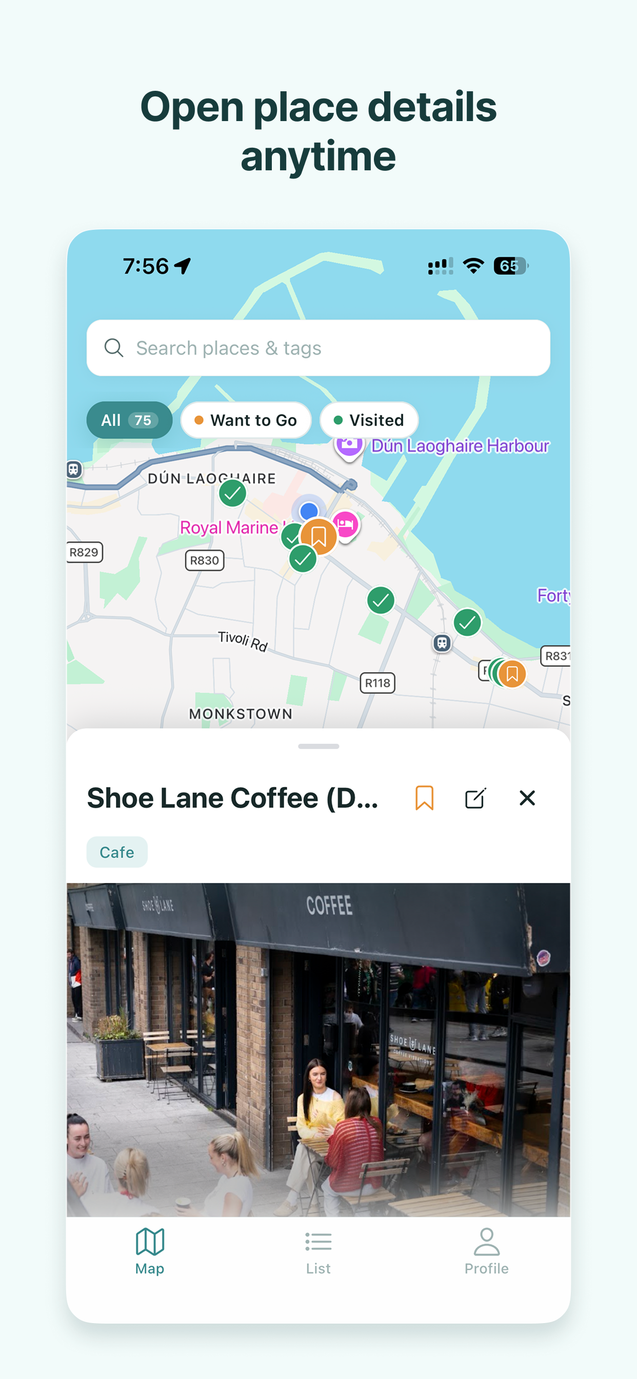 Mapgram map view with a saved place detail panel and place photo open.